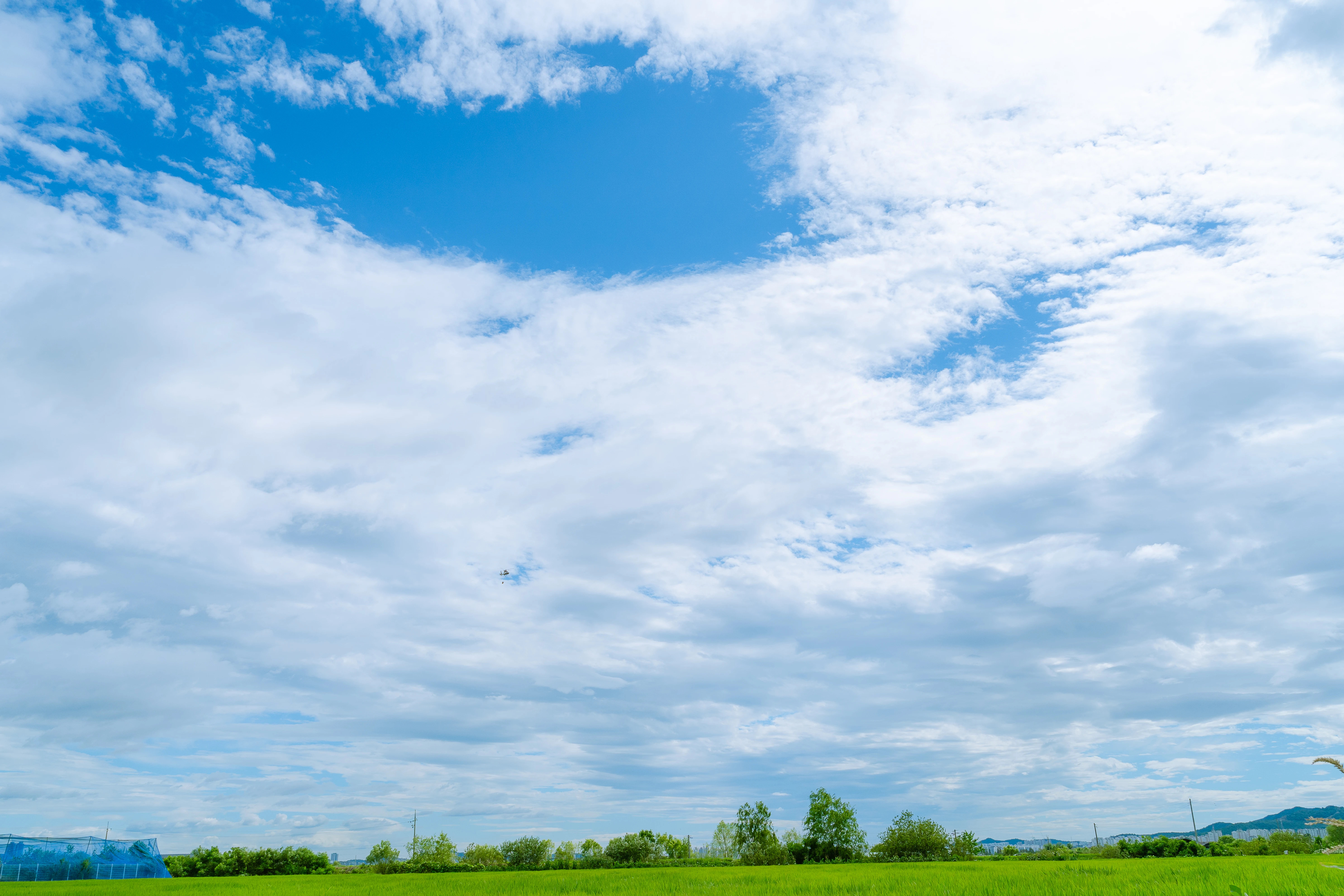 Expansive Sky Over Verdant Fields
